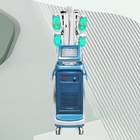 360 Vücut Şekillendirme Cryolipolysis Coolsculpting Yağ Dondurma Makinesi 1000W