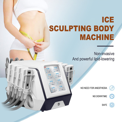 Vakumlu Pedler Cryolipolysis Yağ Dondurma Zayıflama Makinesi OEM ODM